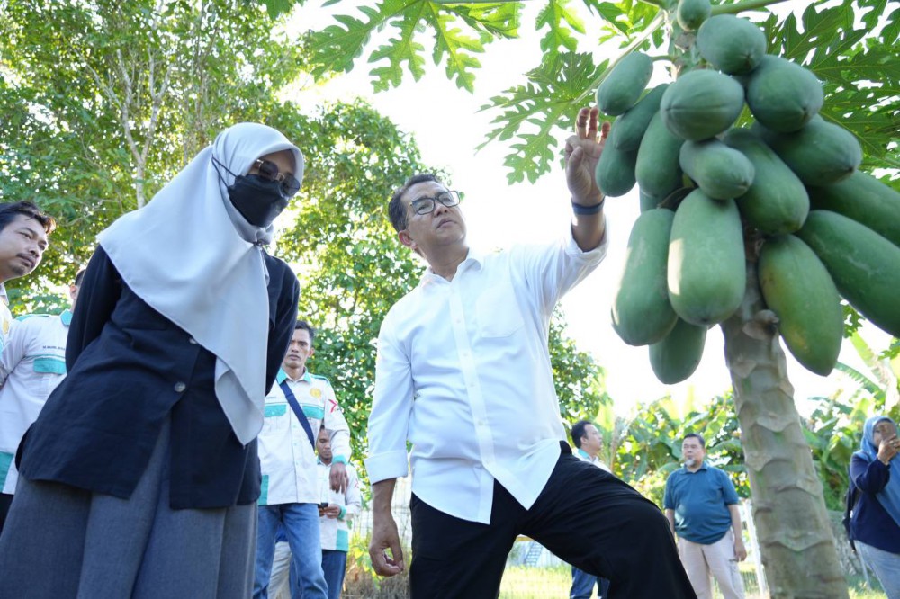 Ajak Petani Tak Cuma Mananam