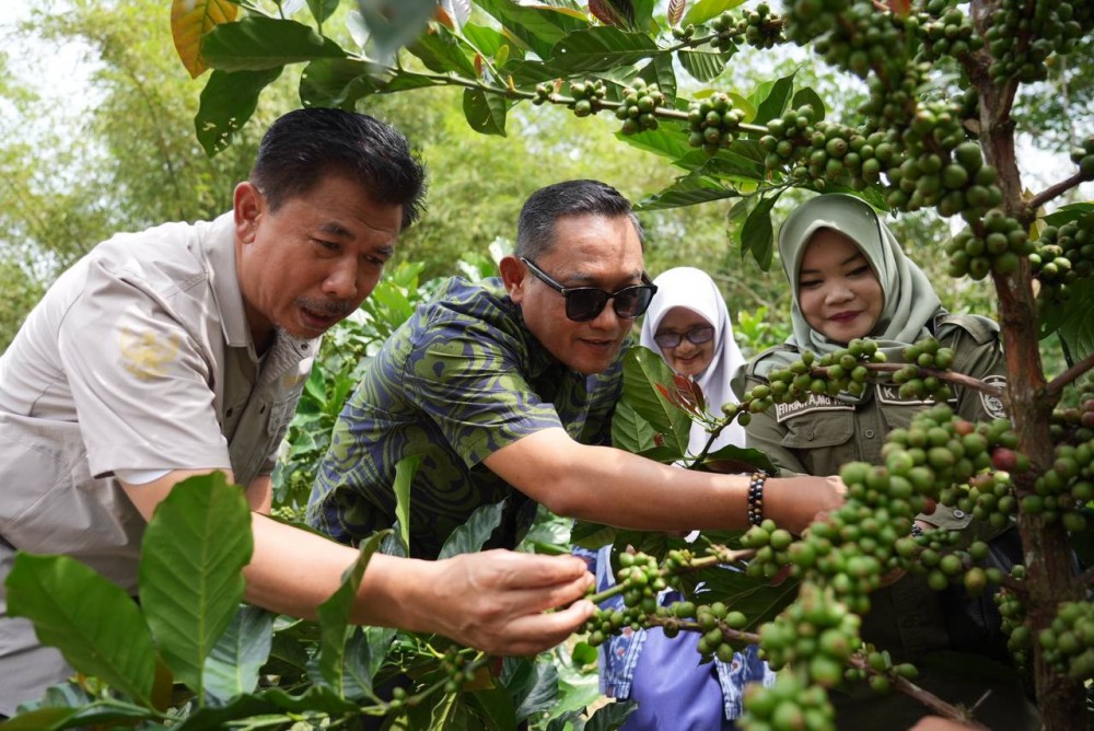 Berkunjung ke Kampung Kopi Luwak Prangat Baru, Wagub Optimis Ekspor