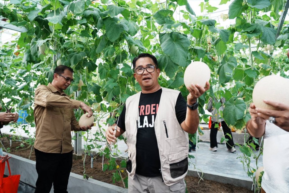 Panen Sayur Bersama Anak-anak LKSA, Memanen Kebahagiaan