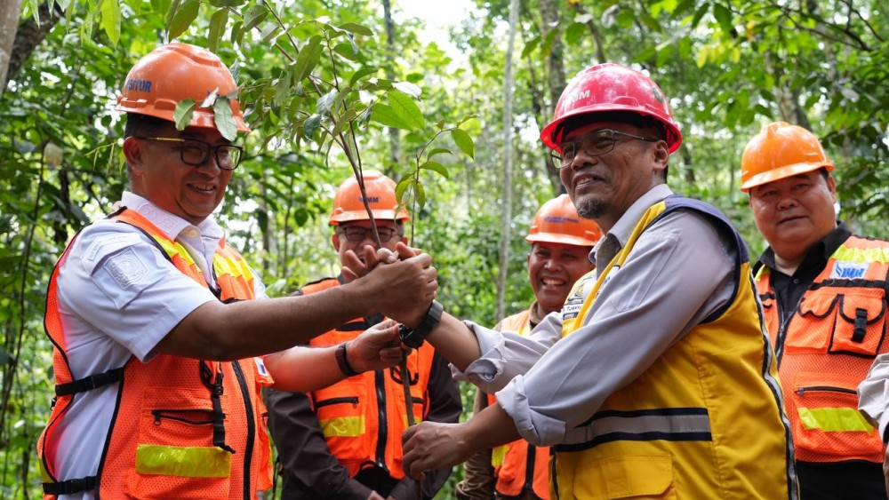 Tanam Bibit Pohon Gaharu di Indominco, Pj Gubernur Akmal Malik Ajak Perusahaan Konsesi Tambang Bangun Arboretum